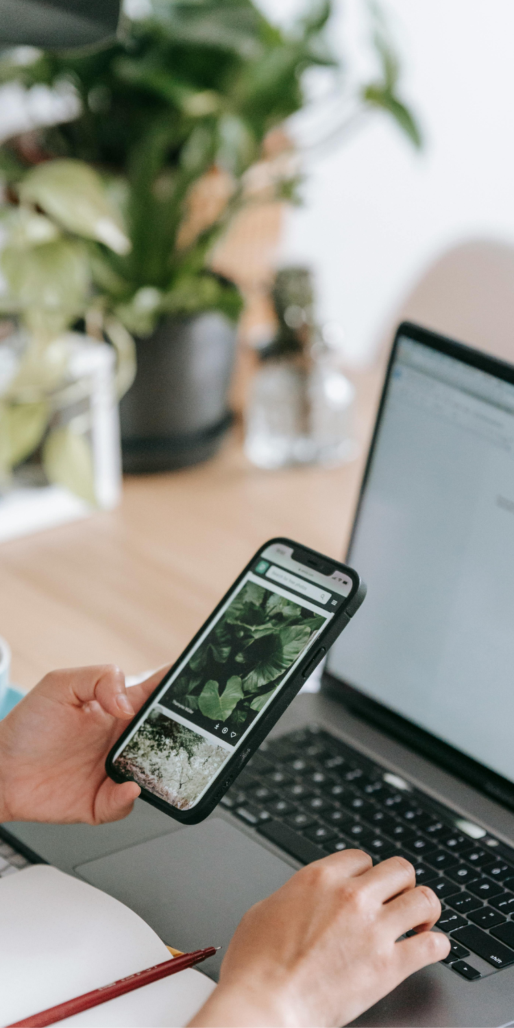 WiFi Networking Services